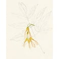 thumbnail image 2 of Unknown  26x32 Black Ornate Wood Framed with Double Matting Museum Art Print Titled - Watercolor Leaf Sketches III, 2 of 4