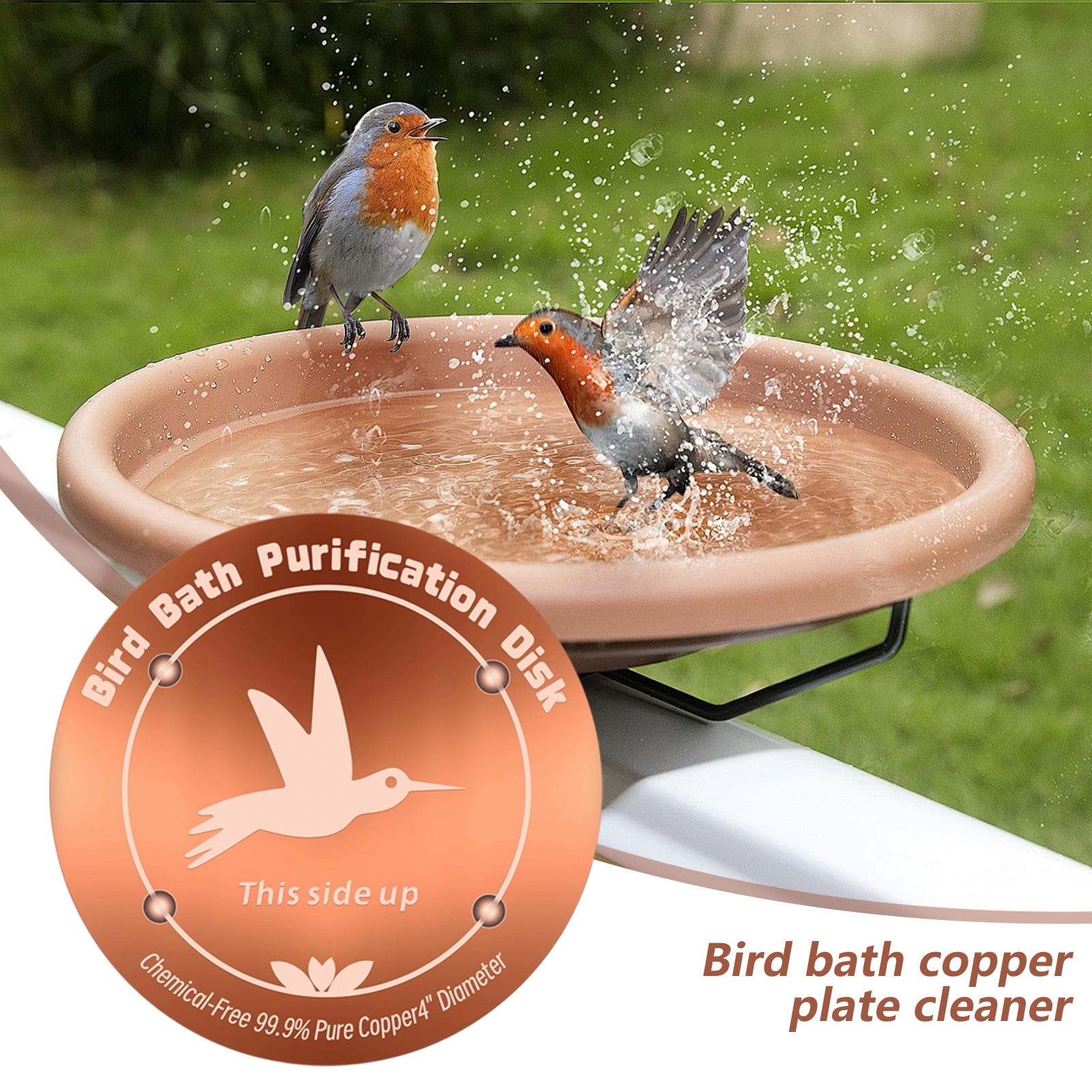 Copper All Season Bird Bath Purification Plate Enhances Garden Aesthetics While Inhibiting Algae