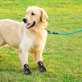thumbnail image 4 of Greeniant Zapatos para mascotas Botas deportivas para interiores Malla Transpirable Clásico Algodón Cremallera Calzado para mascotas Ropa para mascotas marrón uno Greeniant PT000055-16B, 4 of 6