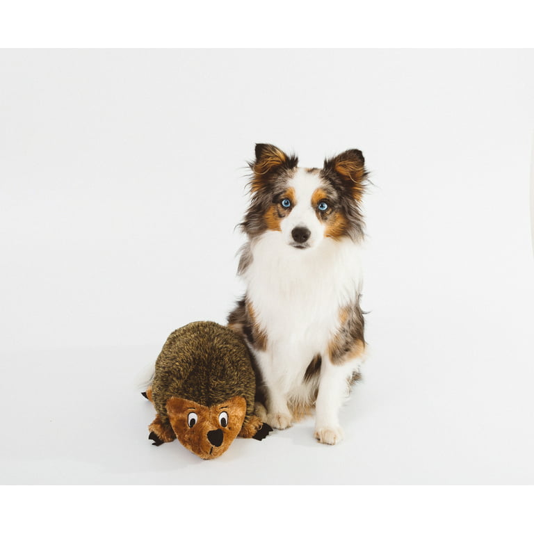 Outward Hound® Hedgehogz Dog Toy - Squeaker