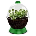 thumbnail image 4 of WonderBubble, 4 of 7