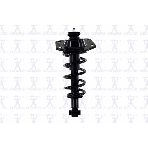 Suspension Strut and Coil Spring Assembly