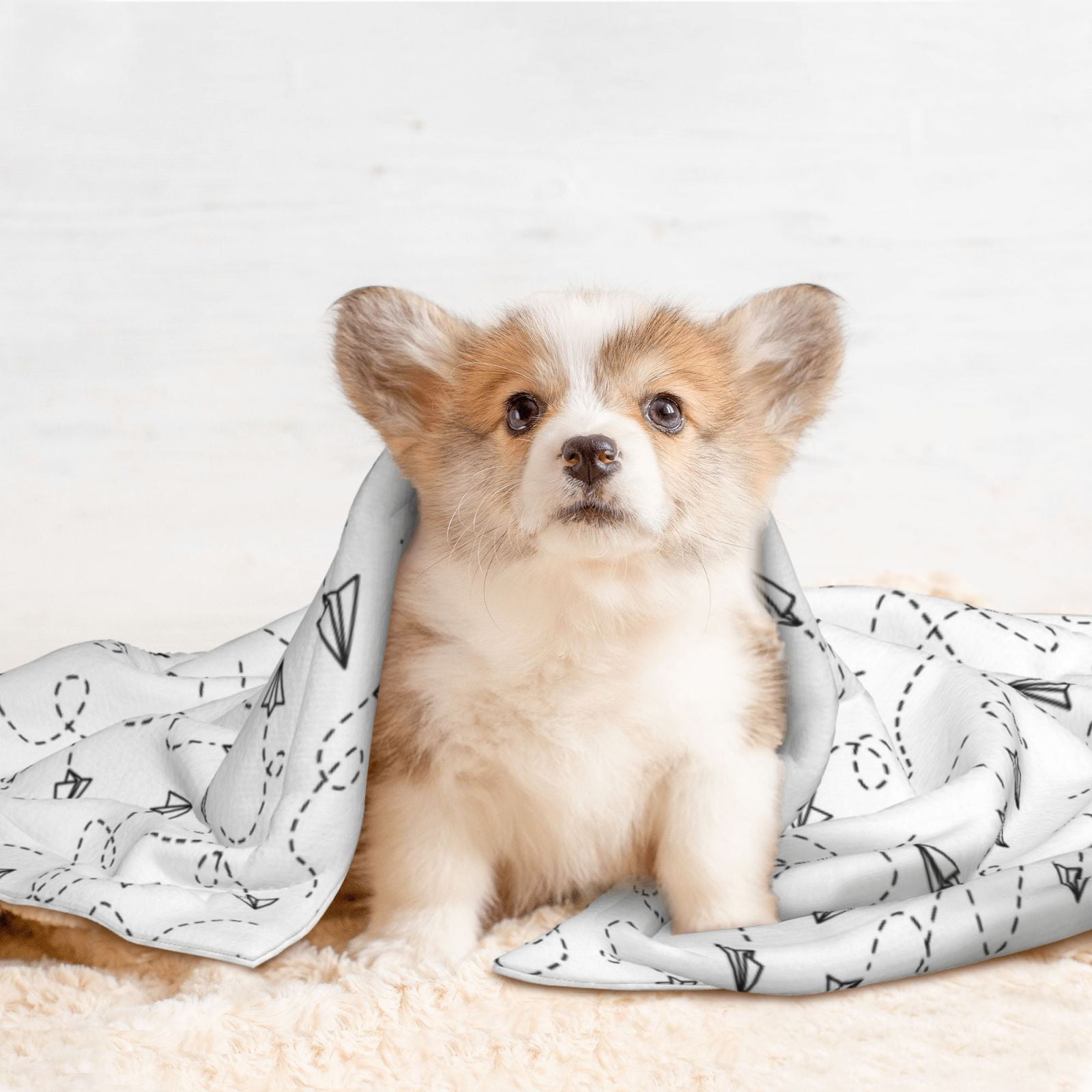 Naloa Airplane Dog Blanket, 3 Sizes Cat Blanket for Indoor Cats Large Medium Small Dog Gifts-Medium