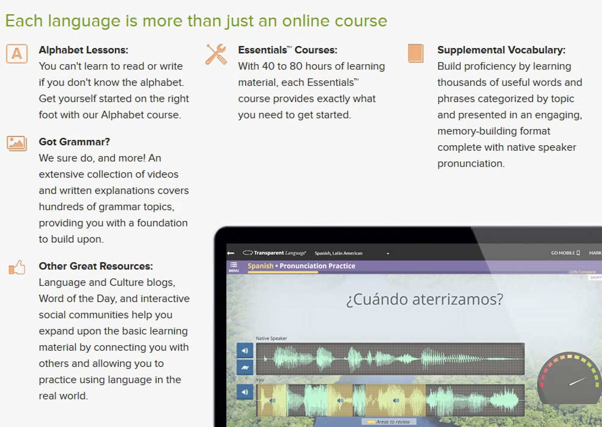Transparent Language Online Dutch (12 Month) (Digital Code)