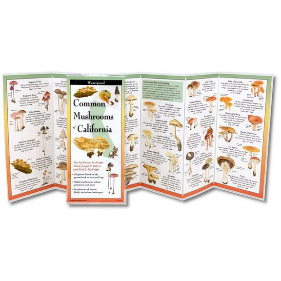 Common Mushrooms of California (Other)