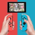 thumbnail image 4 of Compatible with Nintendo Switch Controller,Replacement for Switch Controllers, Support Dual Vibration/Wake-up/Motion Control, 4 of 4