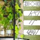 thumbnail image 4 of 2 uds 36x10cm enrejado para plantas trepadoras, soporte para plantas trepadoras con 20 lazos para plantas de interior para maceta de jardín plantas trepadoras de flores de interior (negro) TUNC Sencillez, 4 of 5