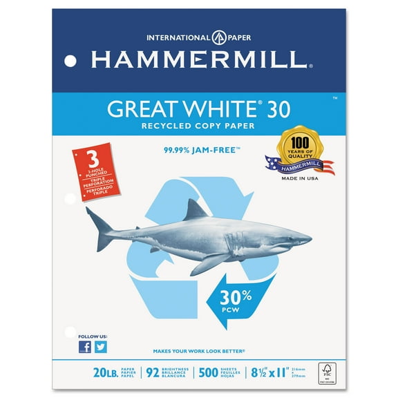 Hammermill Great White Recycled Copy 3-Hole Punched 92 Brightness 20lb Letter 5000/Ctn 86702, Paper
