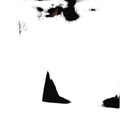 

Cute Colorblock Round Neck Long Sleeve Multicolor Toddler Girls Two-piece Outfits (Girl s)