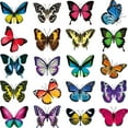 thumbnail image 1 of Large Beautiful Colourful Butterflies Cling Window Stickers Help Bird-st Packaging Boxes for Products Cute Stickers Book Sticker Pack for Adults Sticker It up Softball Stickers for Water Bottle, 1 of 4