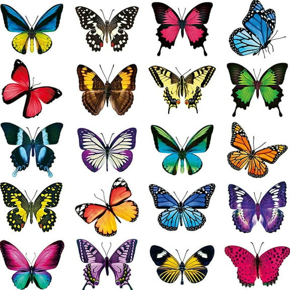 JeashCHAT Large Beautiful Colourful Butterflies Cling Window Stickers Help Prevent Bird-st