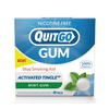 QuitGo Nicotine-Free Quit Smoking Gum to Help Stop Smoking and Stop Vaping and Quit Nicotine, Mint, 40 Ct