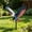 G, variant on Rijanmt 4th of July Decorations Outdoor,3D Effect Bald Eagle Patriotic Decorative Garden Stakes,Patriotic Metal American Eagle Yard Art for Independence Day Outside Porch Lawn Decor,Red White Blue,G