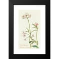 thumbnail image 2 of Margaret Armstrong 10x14 Black Modern Framed Museum Art Print Titled - Wild Valerian (1915), 2 of 5