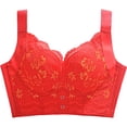 thumbnail image 6 of Paiwinds Women's Wirefree Lace Bra - Comfortable Full Coverage Bralette for Plus Size, Everyday Supportive Underwear, 6 of 9