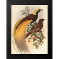 thumbnail image 2 of Reynolds, Alastair 19x24 Black Modern Framed Museum Art Print Titled - Golden Bird of Paradise, 2 of 5
