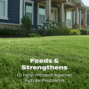 Scotts Turf Builder Lawn Fertilizer, 15,000 sq. ft., 37.50 lbs.