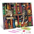 thumbnail image 7 of TISHIRON 5D Full Drill Diamond Art Painting Kits for Adults Kids Cat on Bookshelf DIY Round Diamond Art Painting Kit Animal Paint by Diamonds for Adults, 12x16 Inches, 7 of 7