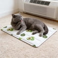thumbnail image 3 of Dinosaur Watermelon Mat 30x40cm Soft Ice Pad For Small Cats Portable Cool Bed, 3 of 3