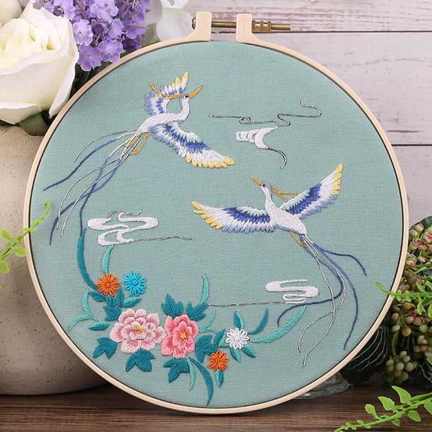 Kits de costura a mano con aros adultos Hugo Estilo1