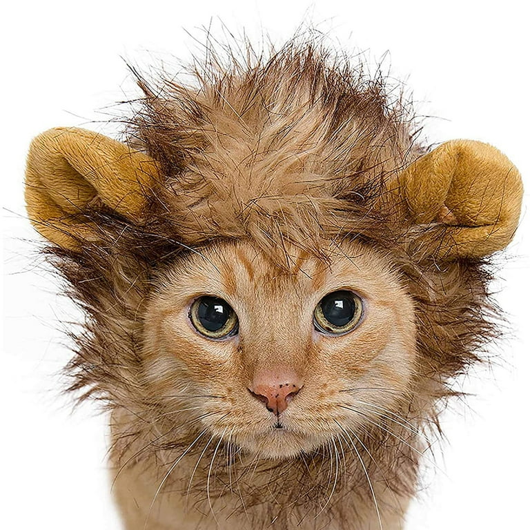 Cat In Lion Costume Meme Authorized Dealers www.meesenburg.kz