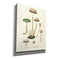 thumbnail image 2 of Epic Graffiti 'Agaricus Semiglobatus'  by Art Licensing Studio Canvas Wall Art, 26" x 34", 2 of 8