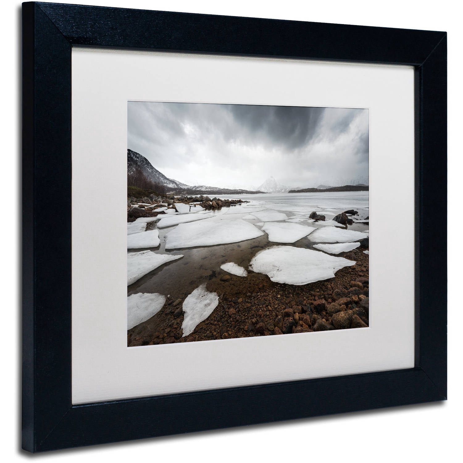Trademark Fine Art "Wildest Dreams" Canvas Art by Philippe Sainte-Laudy, White Matte, Black Frame