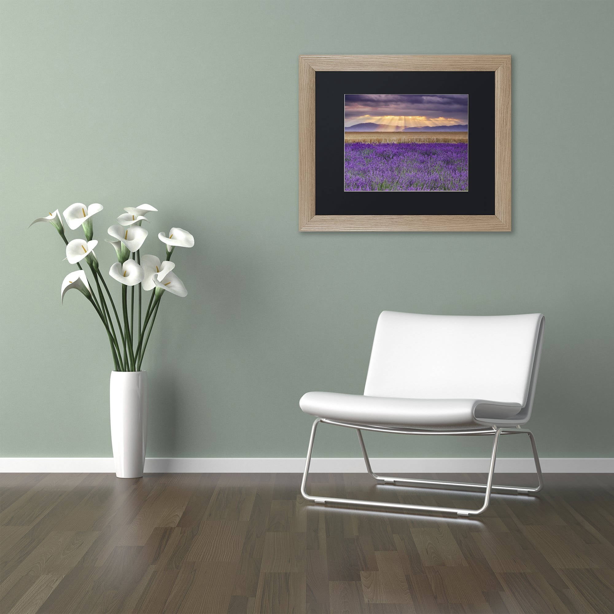 Trademark Fine Art "Lavender Sunbeams" Canvas Art by Michael Blanchette Photography Black Matte, Birch Frame