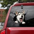 thumbnail image 4 of Animal Crack Car Sticker, 11.8 x 11.8 inch Car Window Decal,Multiple Styles Pet Static Electricity Sticker for Cars,3D Realistic Waterproof DIY Car Window Paste Stickers (D), 4 of 7