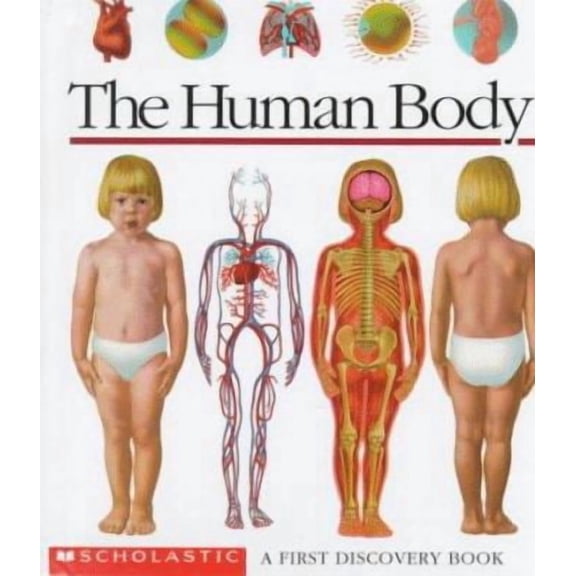The Human Body: A First Discovery Book (Hardcover) by Sylvaine Perols