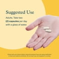 thumbnail image 6 of Youtheory Shilajit Advanced Capsule 90 vegetarian capsules, 6 of 7