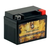 Pirate Battery YTX4L-BS (4L-BS 12 Volt,3 Ah, 50 CCA) Sealed AGM Scooter Battery for Yamaha 50cc Cw50 Zuma Ii 1998