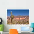 thumbnail image 1 of Pasacana Cactus Trichocereus Pasacana Wall Mural by Wallmonkeys Peel and Stick Graphic (24 in W x 16 in H) WM226712, 1 of 4
