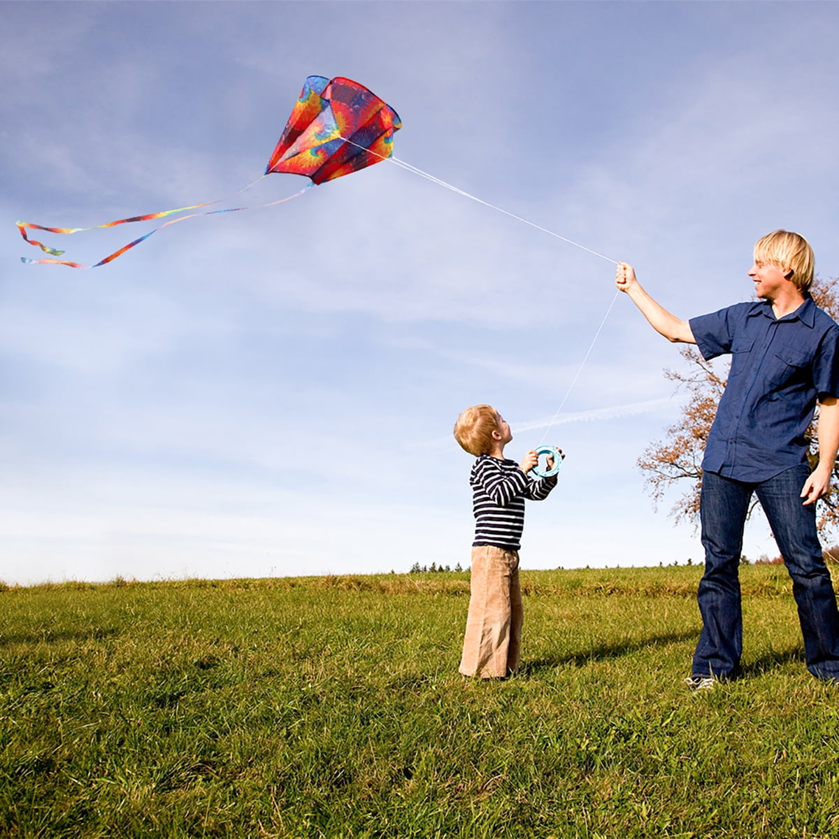 31-Inch Kite For Kids, Rainbow Parafoil Kite with Long Tail for Beach Park, 3Pcs