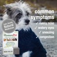 thumbnail image 3 of Medicine HomePet Nose Relief para perros y gatos, 15 ml, 3 of 7