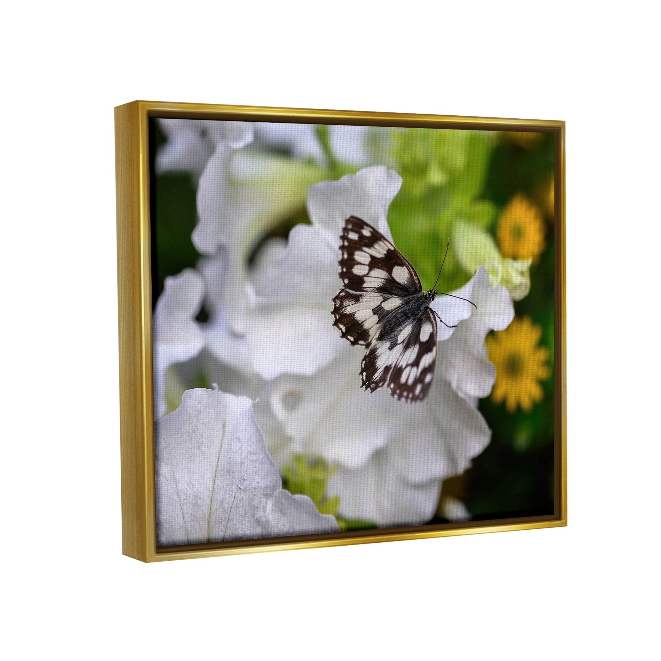 Stupell Industries Butterfly Geranium Blossom Photograph Metallic Gold Floating Framed Canvas Print Wall Art, Design by Daphne Polselli