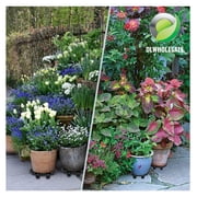 13-Inch Pot Elevators for Plants (6-Pack)