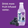Hint Flavored Water Infused with Blackberry Essence, 16 fl oz, 6Pack