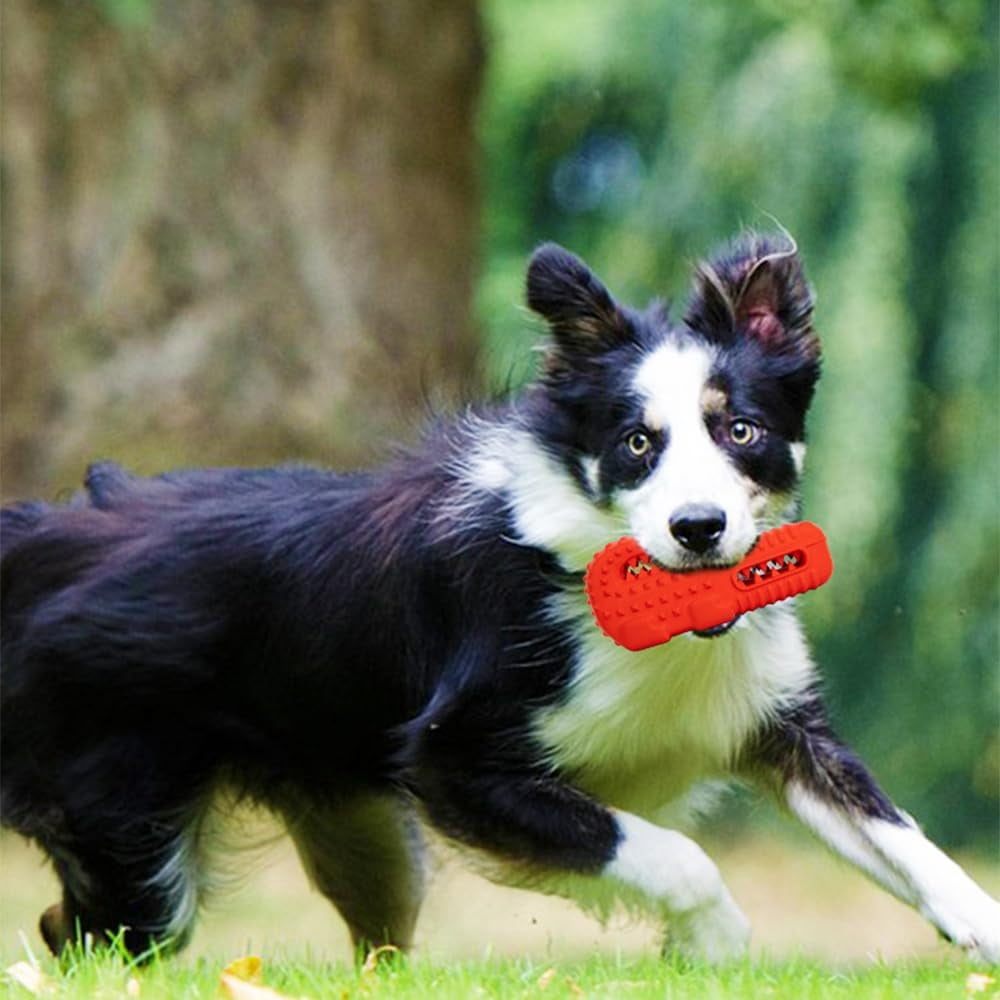 CATPAN Dog Chew Toy,Rubber Alligator Interactive Dog Toy for Puppies Small Medium Large Dogs Teething