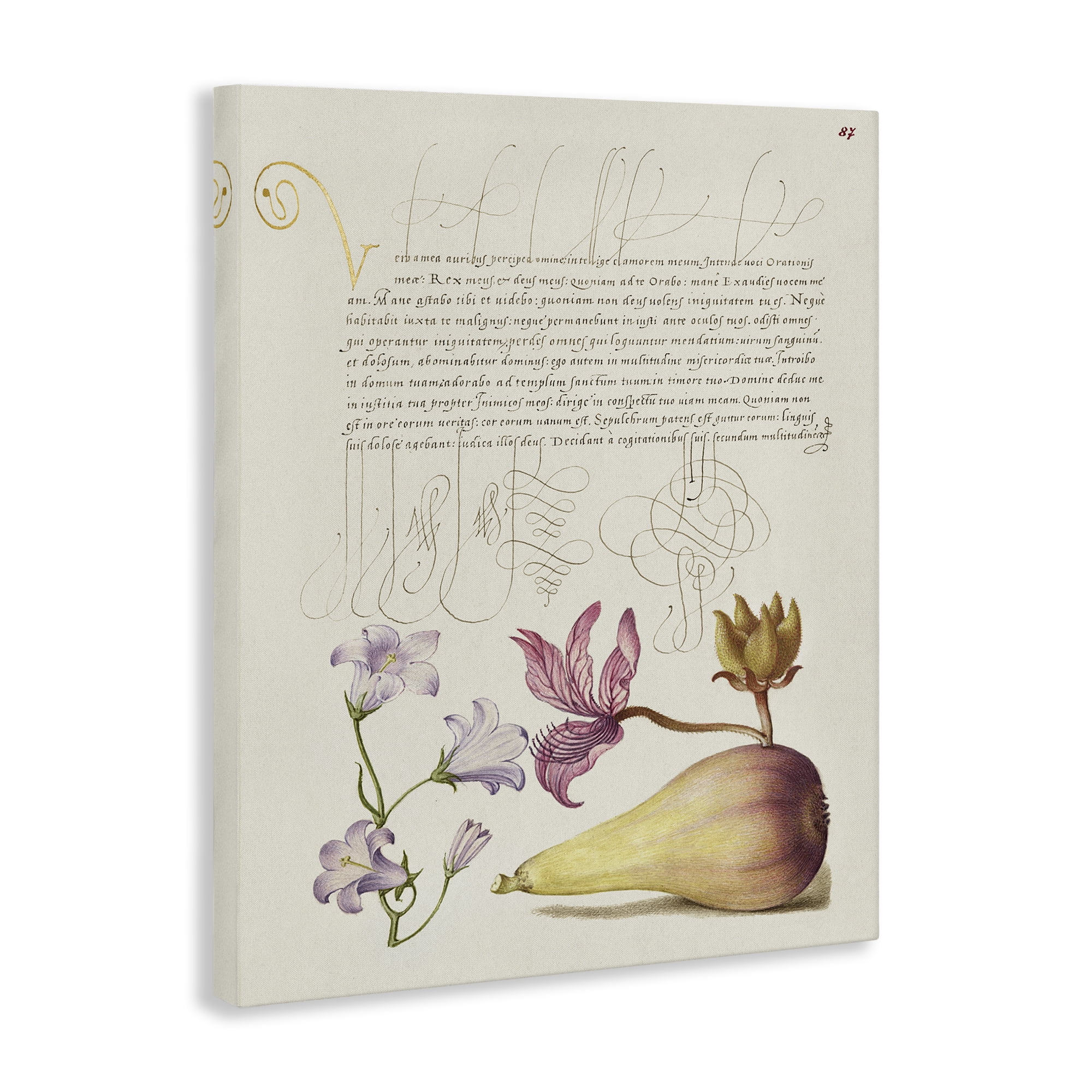 Stupell Industries Classical Cottage Plants Text & Numbers Painting Wrapped Canvas Art Print Wall Art, 16 x 20