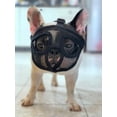 thumbnail image 5 of Dog muzzle anti-bite fighting mask Bichon muzzle random eating mask Bago muzzle short pet dog mask-black -S, 5 of 5