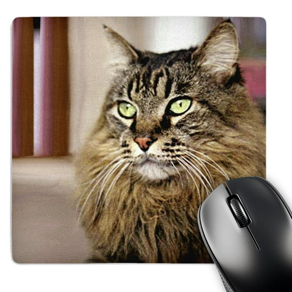 3dRose, Maine Coon, MousePad