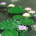 thumbnail image 4 of Cheers 2Pcs Artificial Floating Lotus Leaves Fake Foliage Plant Garden Pond Pool Decor, 4 of 7