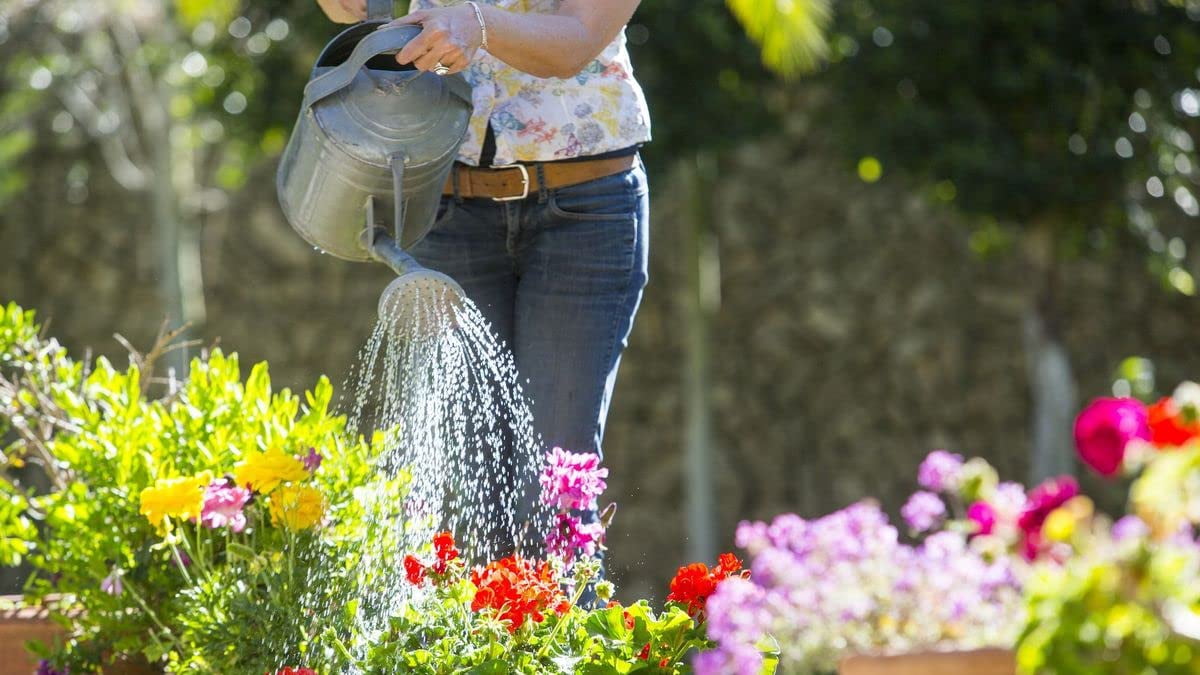 ⭐ Gardenera Labs Moisture Control Potting Mix - Keep Your Plants Happy and Hydrated! 💦🌸 - 10 QUART BAG