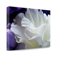 thumbnail image 2 of Tangletown Fine Art Lisianthus By Amalia Veralli,  Gallery Wrap Canvas, 2 of 2