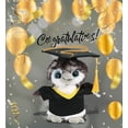 thumbnail image 5 of DolliBu Grey Penguin Graduation Plush Toy - Super Soft Penguin Graduation Stuffed Animal Dress Up with Gown and Cap with Tassel Outfit - Reward Celebration Grad Gift - 6.5 Inch, 5 of 6