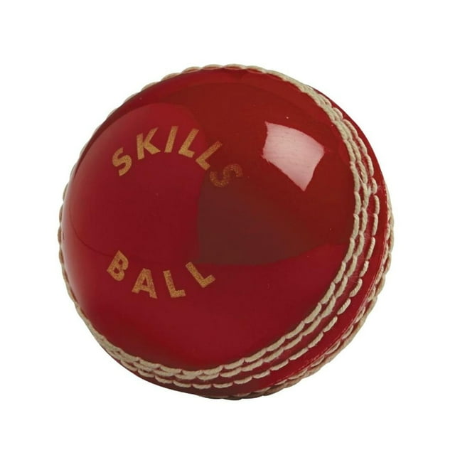 Gunn And Moore Adult Skills Cricket Ball
