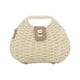 thumbnail image 5 of Bolso bandolera informal para mujer, bolso de playa portátil, bolso de mano tipo cartera Beige, 5 of 9