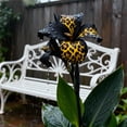 thumbnail image 2 of Canna, Low Maintenance - Easy Grow - Ideal for Beds Borders, Plant Pots & Planters, 2 of 4