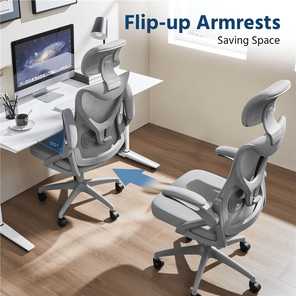 Alden Design High Back Ergonomic Mesh Office Chair with Padded Headrest, Gray